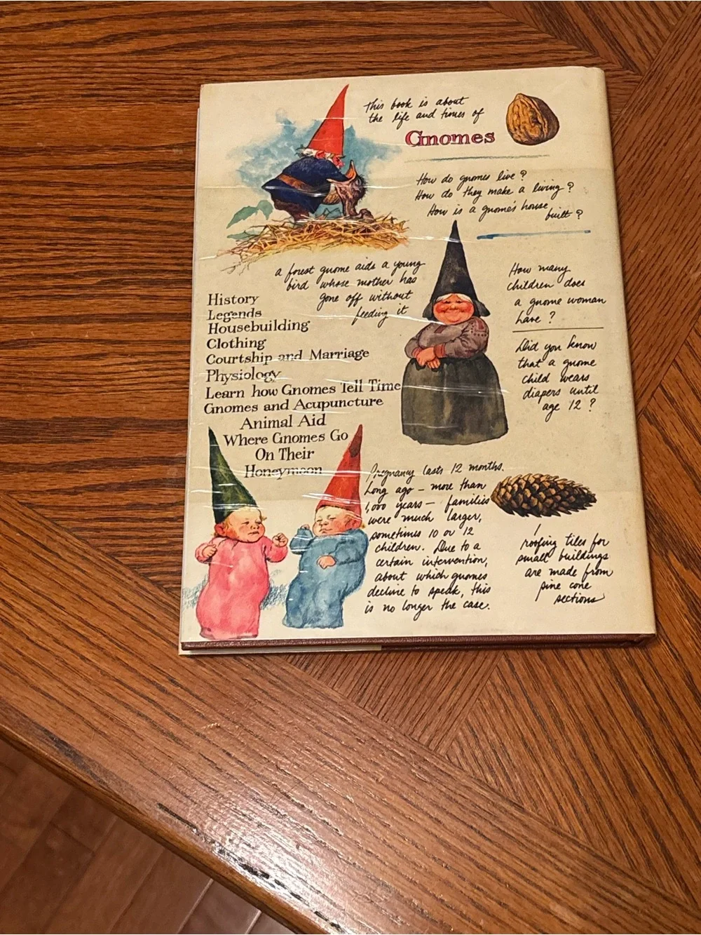 Gnomes by Wil Huygen & Rien Poortvliet – 1977 Vintage Hardcover Art Book